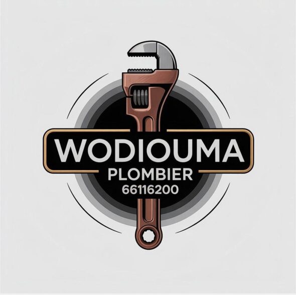 wodioumaplombier