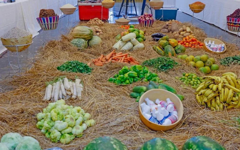Semences améliorées et innovation agricole pour les petits producteurs africains