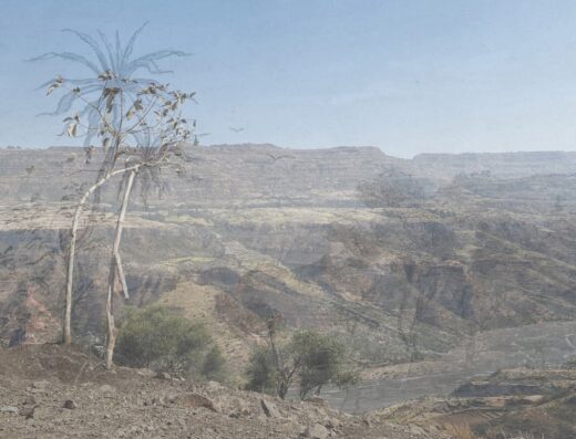 Rencontres de Bamako – 15e Biennale africaine de la photographie