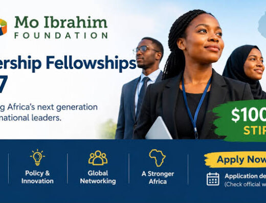 Programme de bourses 2027 de leadership de la fondation Mo Ibrahim